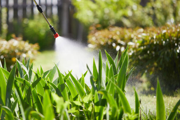 24/7 Emergency Wasp Removal experts in McKinney, TX