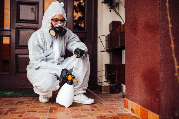 Reliable Wasp Removal contractor in McKinney, TX by Show Me Pest Control